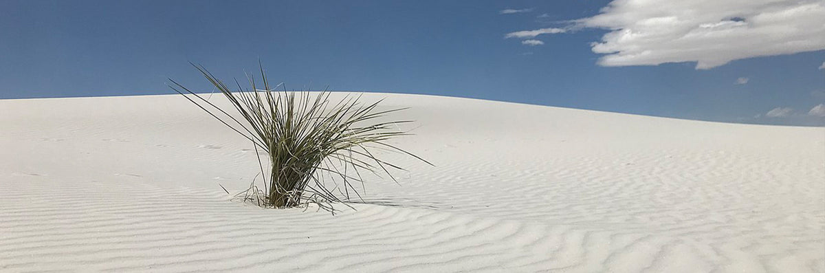 6 Underrated National Parks and Monuments in the West