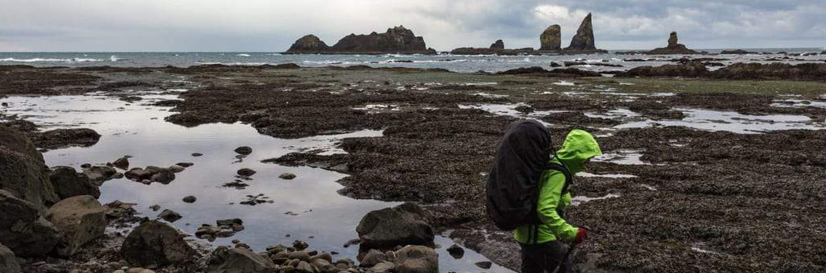 The Wildest Seashores in America