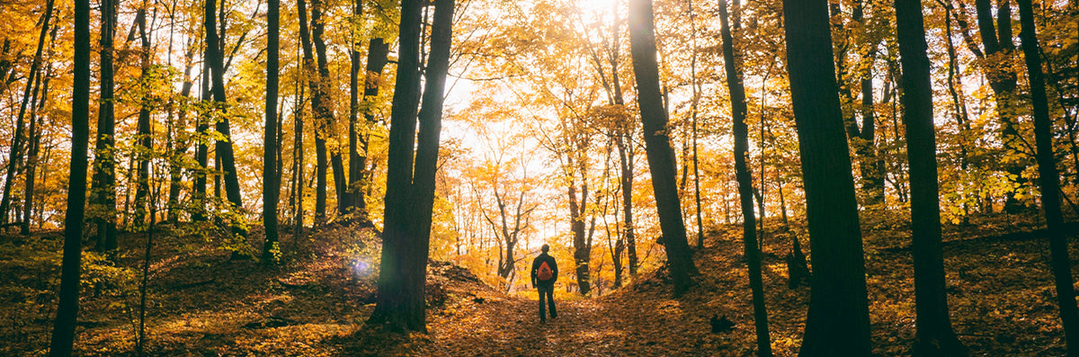 The 10 Best Hikes in the Smokies