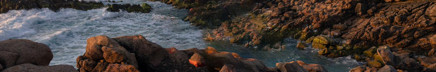 Gear | Lightweight Reusable Bags