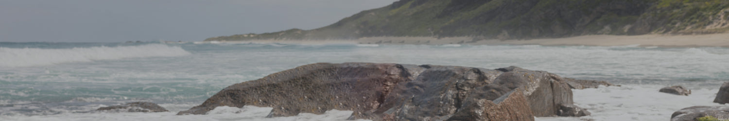 Gear | Toiletry Bags