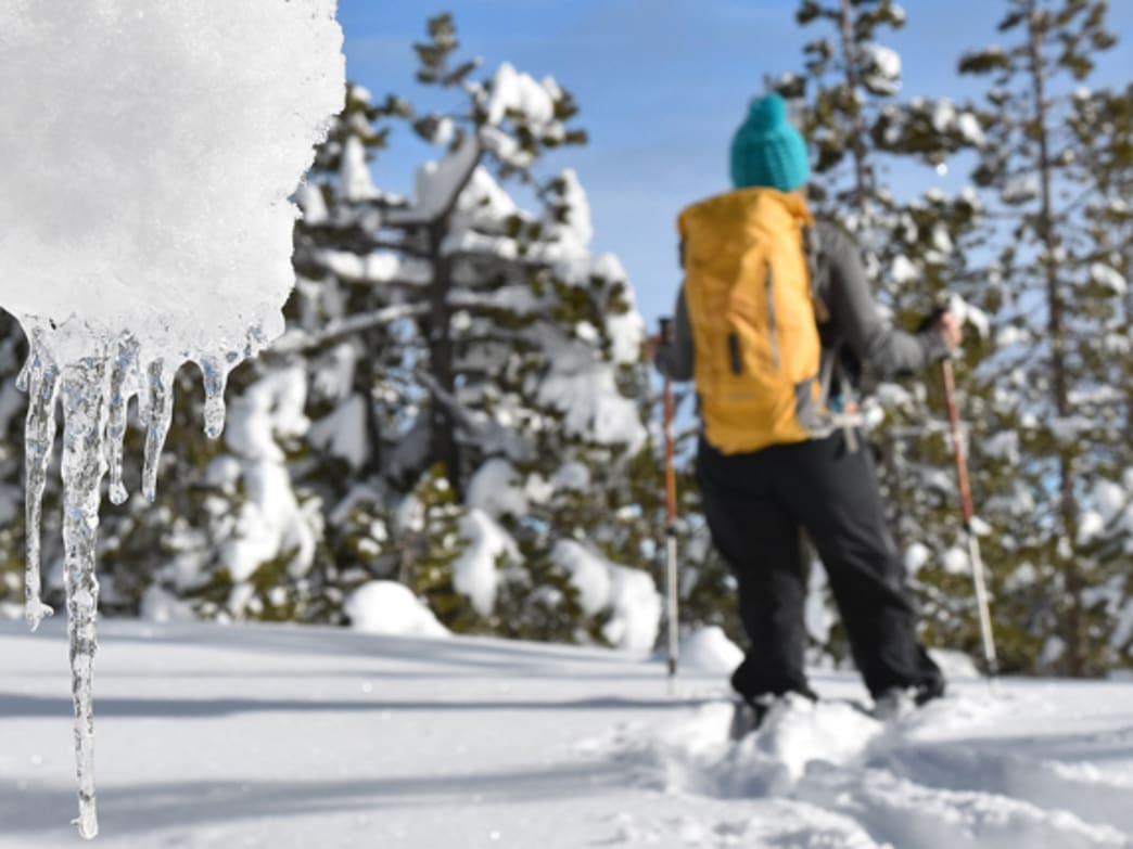 Why You Should Start Snowshoeing This Winter