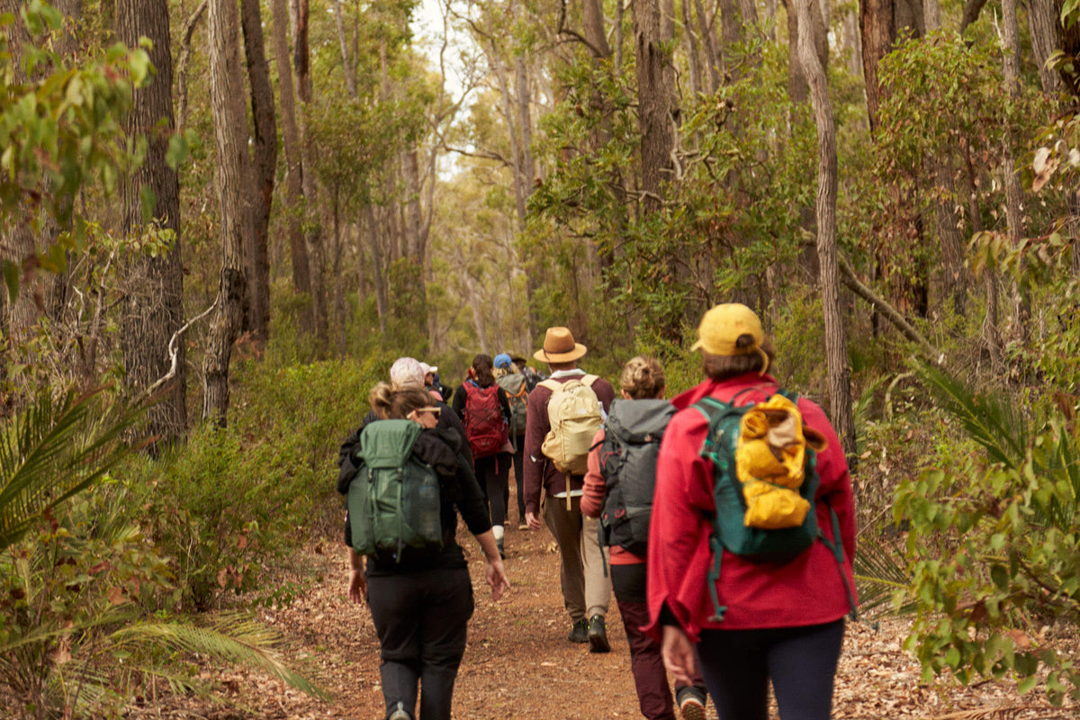 A group of hikers with backpacks walking along a dirt trail through a dense forest of tall trees.