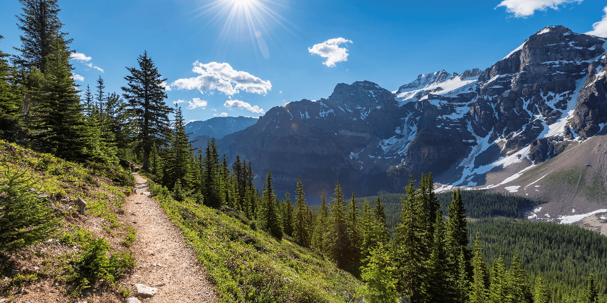 A narrow ridge trail surrounded by evergreen trees, leading towards snow-dusted mountains under a clear blue sky