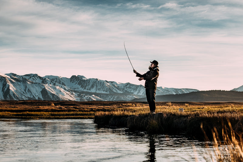 Fall Trout Fishing: How to Change with the Season
