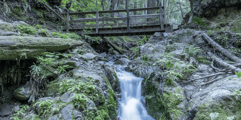 A forest scene with a wooden footbridge crossing over a small waterfall flowing through rocky terrain