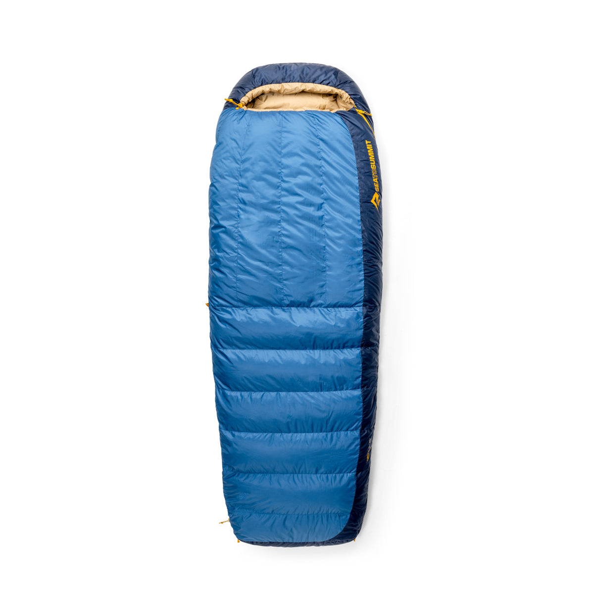 30°F / Regular Wide || Circuit Down Sleeping Bag