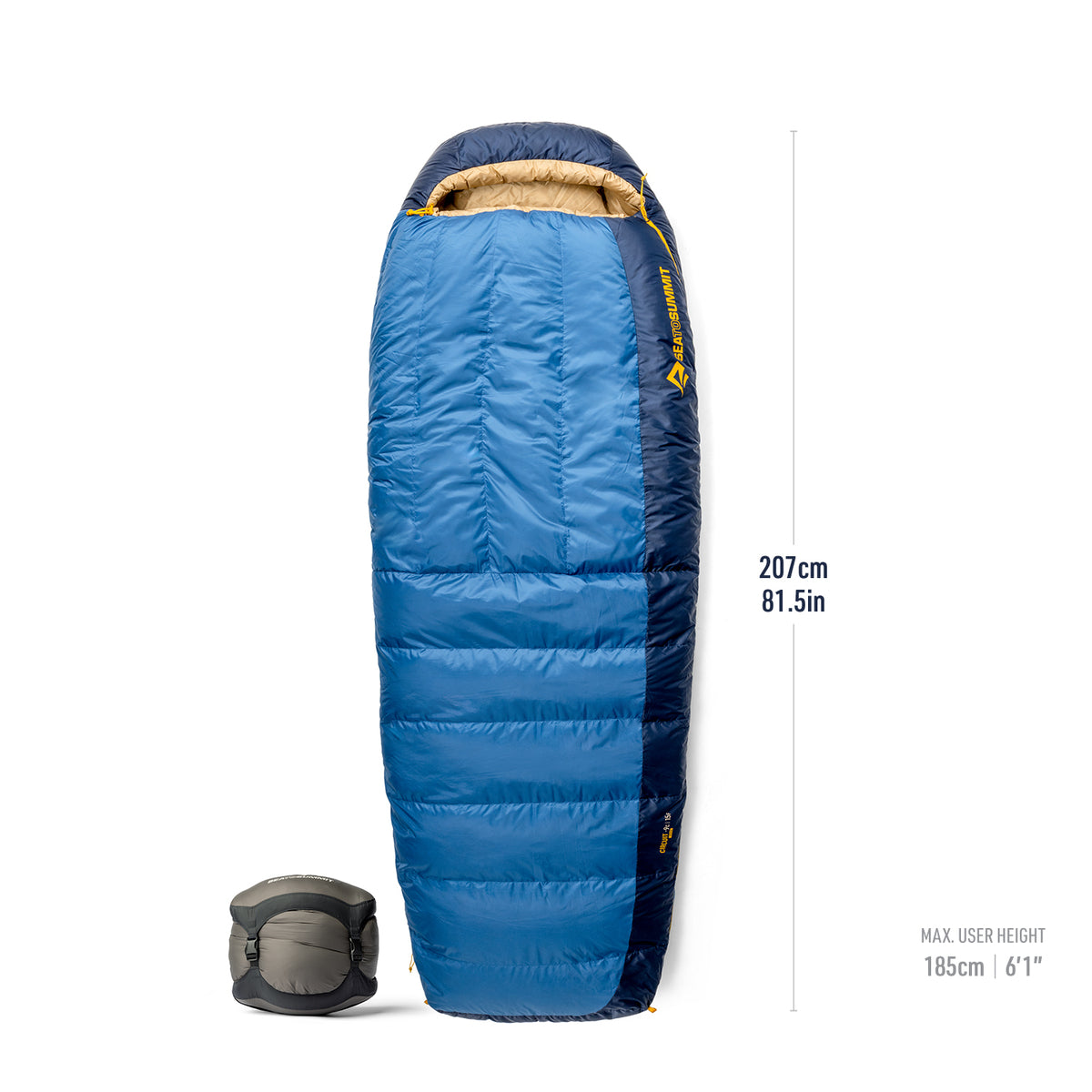 15°F / Regular Wide || Circuit Down Sleeping Bag
