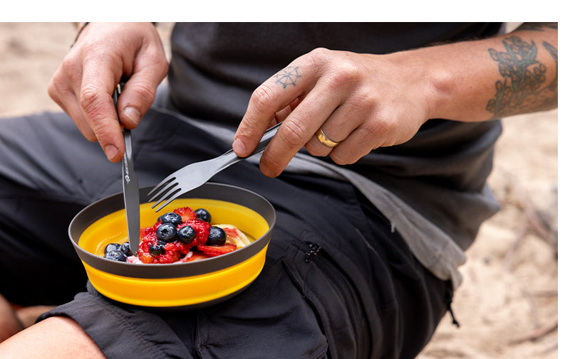 collapsible bowl and plate with fish bones on it Frontier UL Collapsible Bowl